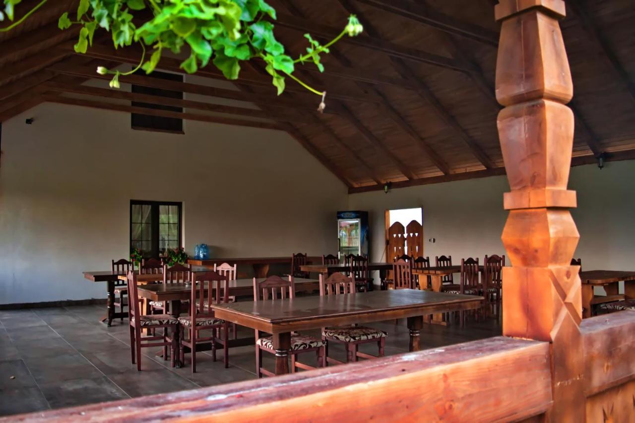 Conacul Cosaului Hotel Feresti Bagian luar foto