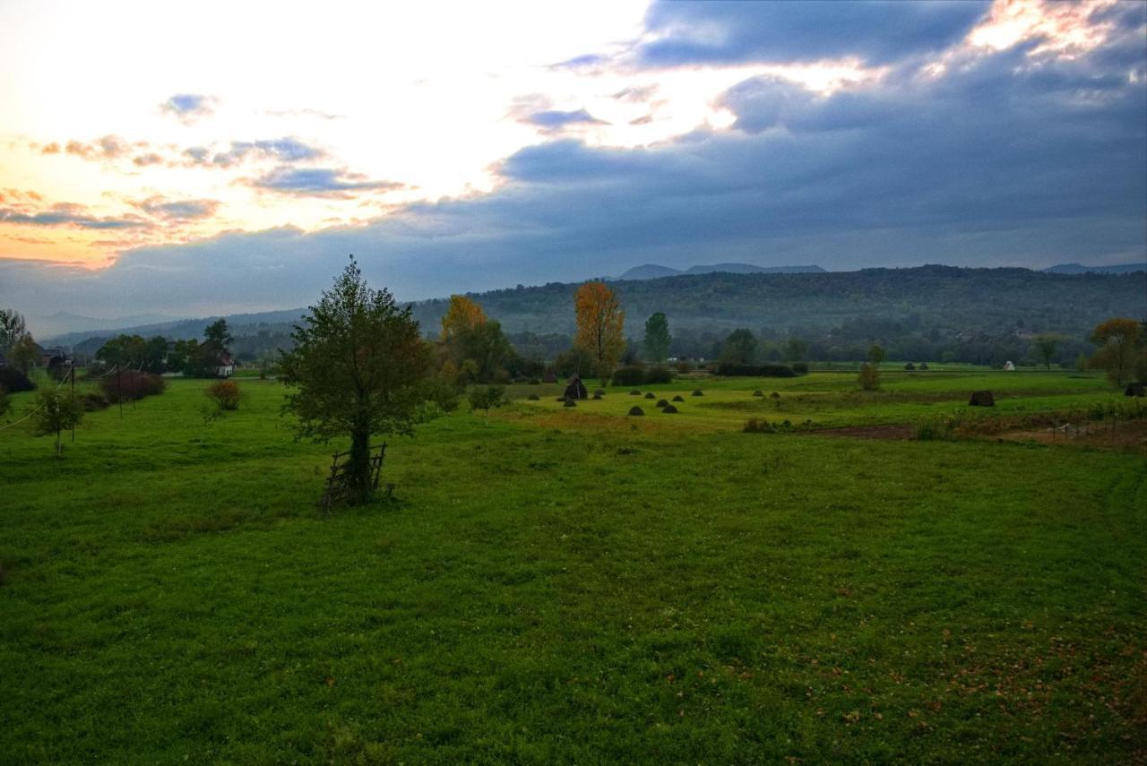 Conacul Cosaului Hotel Feresti Bagian luar foto